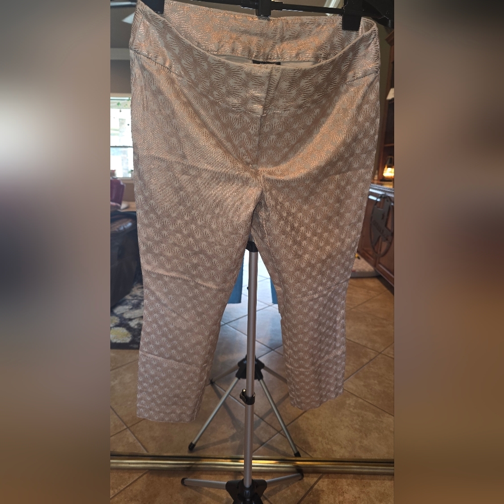 Alfani Crop  Pants